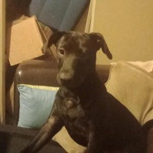 Meet your Posher, Tyler